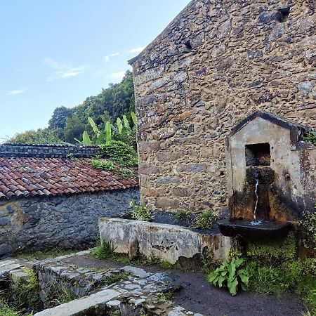 Aldeia Do Sanguinho Hotel Faial da Terra Екстериор снимка